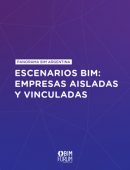 Panorama BIM Argentina / Escenarios BIM: empresas aisladas y vinculadas