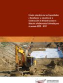 Estudio y análisis de las capacidades y desafíos de la industria de la construcción de infraestructura en relación a la demanda estimada para el período 2007-2017